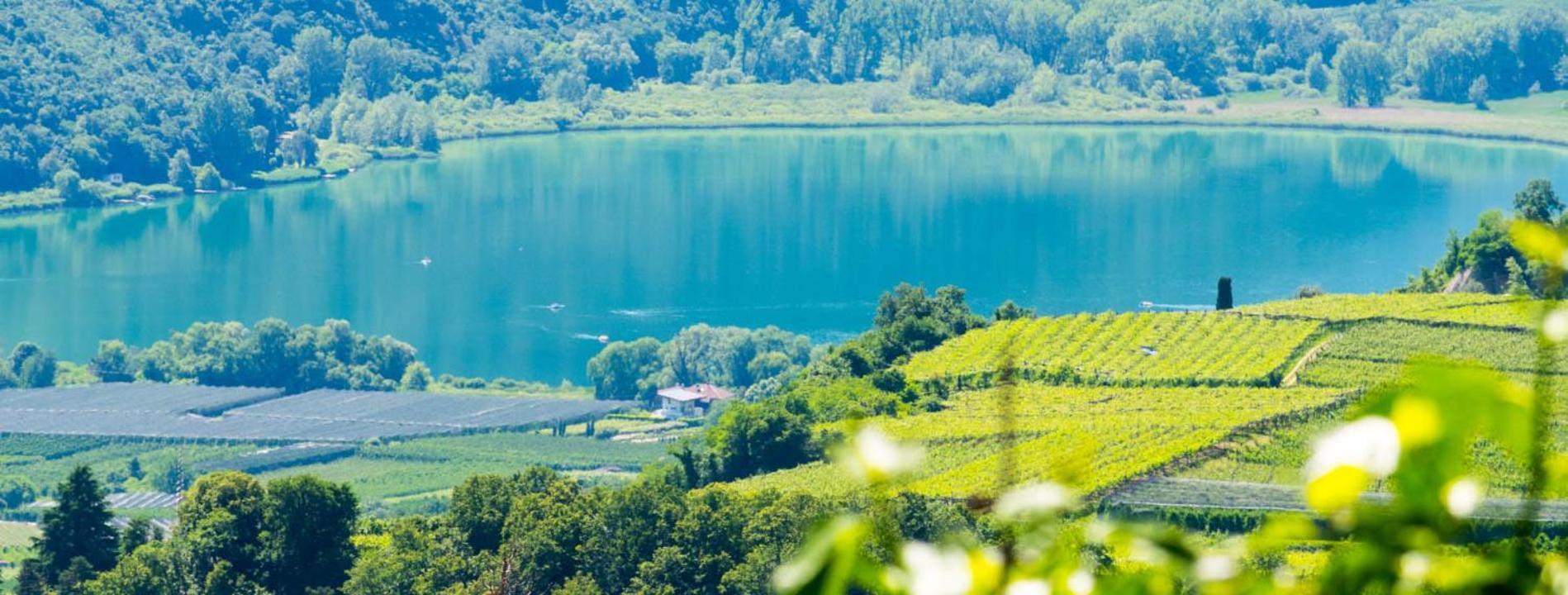 Haus Pobitzer Διαμέρισμα Caldaro Εξωτερικό φωτογραφία